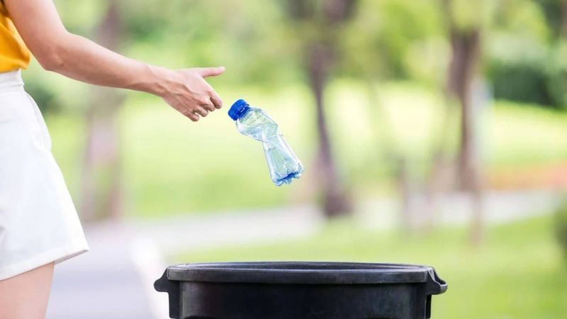 Plastik şişeleri çöpe atmayın! Bakın ne harikalar yaratıyormuş...