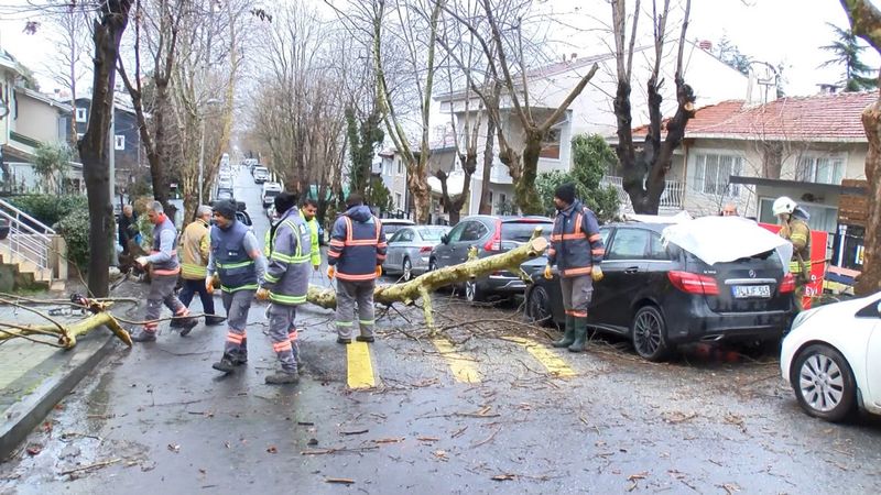 Beşiktaş’ta çınar ağacı park halindeki otomobilin üzerine devrildi