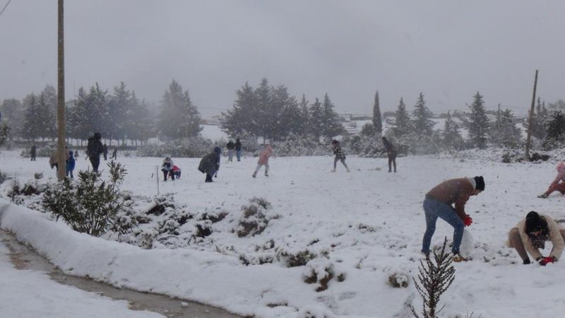 Muğla beyaza büründü: Kar manzaraları Doğu Anadolu'yu andırdı