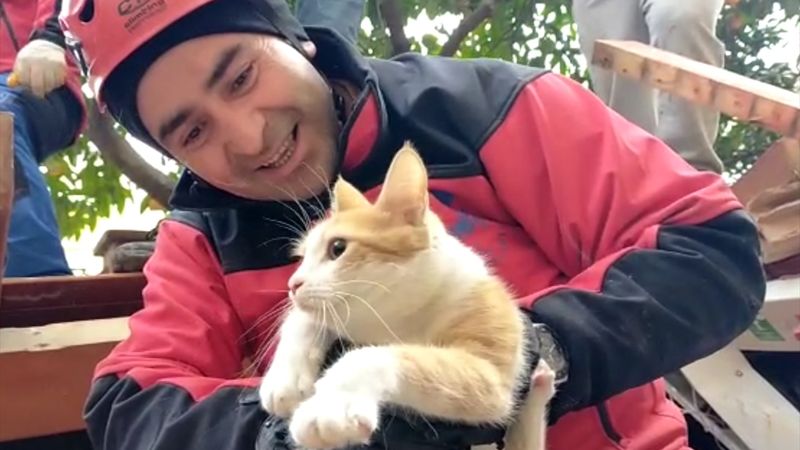 Hatay'da enkaz altındaki genç önce kedisinin çıkarılmasını istedi