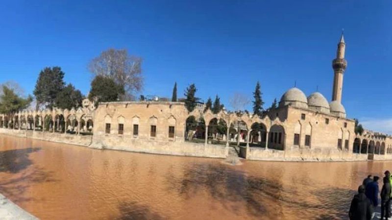 Şanlıurfa'da Balıklıgöl’ün suyu, deprem sonrası çamur rengine döndü