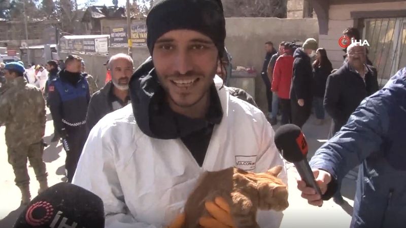 Kahramanmaraş'ta 248 saat sonra enkazdan kedi çıkarıldı