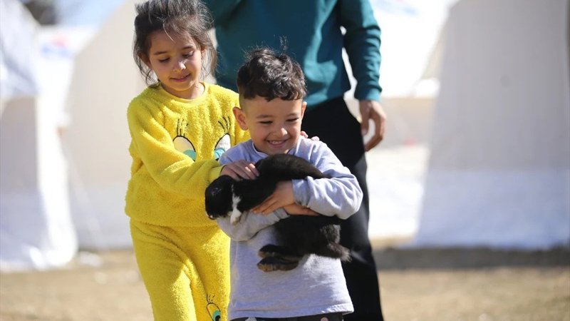 Gaziantep'te depremzedeler evcil hayvanlarını yanlarından bir an olsun ayırmıyor