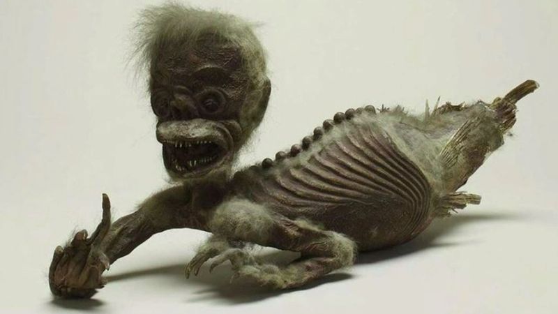 300 yıllık deniz kızı mumyasının sırrı çözüldü: İşte “Enjuin mumyası” ve altında yatan gerçek…