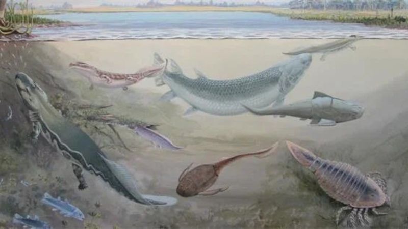 360 milyon yıl önce yaşamış dev balık keşfedildi: Atalarımızı yemiş olabilir...!