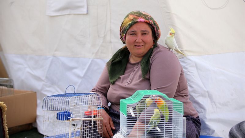 İslahiye'de kuşlarıyla birlikte çadır kentte yaşıyor