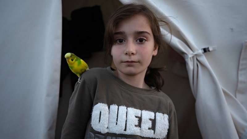 Depremde kurtarılan hayvanlar, çadır kentte yaşıyor