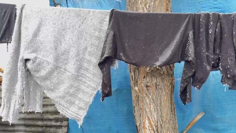 Ağrı'da aşırı soğuklar dona neden oldu