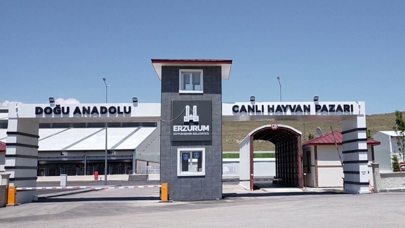 Doğu Anadolu Canlı Hayvan Pazarı şap önlemi için kapatıldı