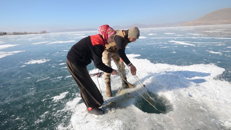 Çıldır Gölü'nde balık avlayan kadın, ekmeğini buzun altından çıkartıyor