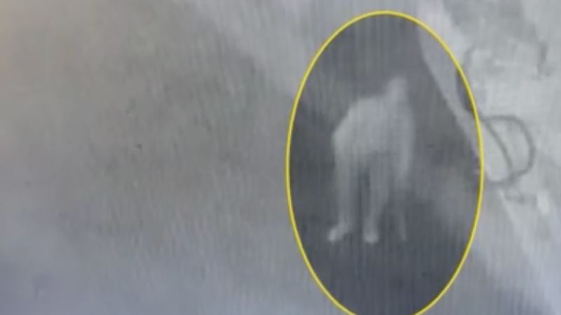 Arnavutköy'de iş yerine girmeye çalışırken güvenlik dikkatiyle yakalandı