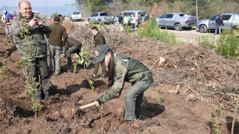 Depremde vefat edenler için Bursa'da fidan dikildi