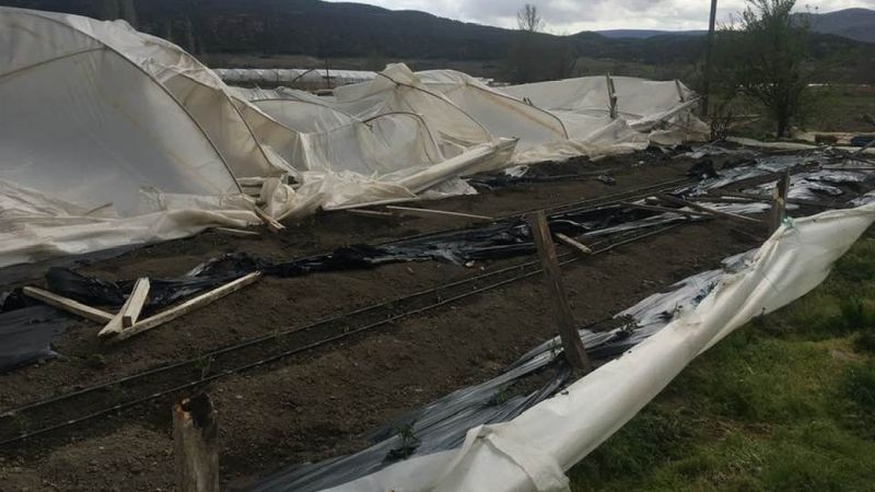 Amasya'daki fırtına sonrasında seralar zarar gördü