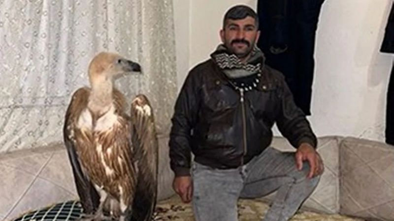 Şaşırtan görüntü: Evinde akbaba besleyen Urfalı