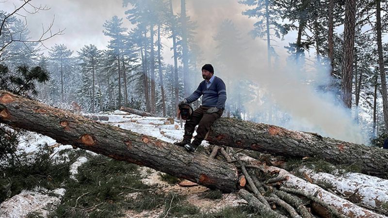 Kastamonu'da ormancıların zorlu mesaisi