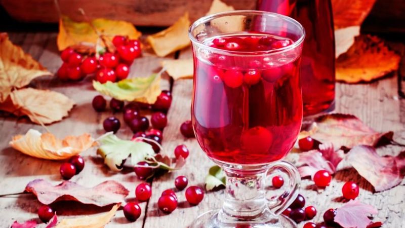 Kızılcık Şerbeti atasözü: 