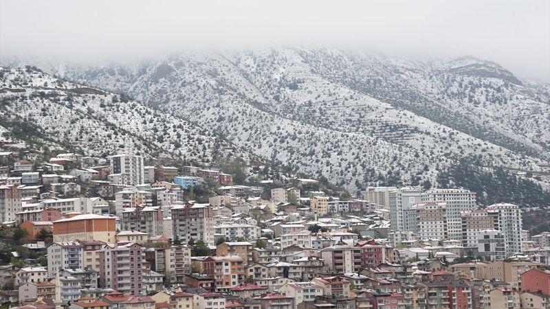 Trabzon ve Gümüşhane'de kar yağışı etkili oldu