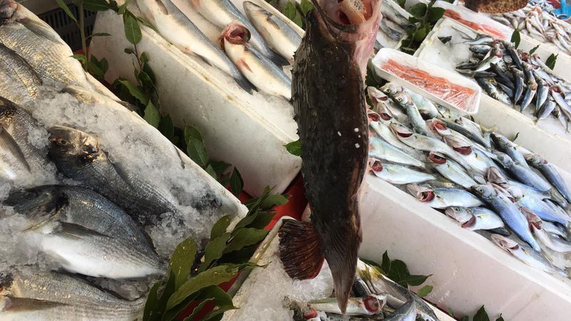 Balık fiyatları yükseldi: Hamsi 140 liradan satılıyor