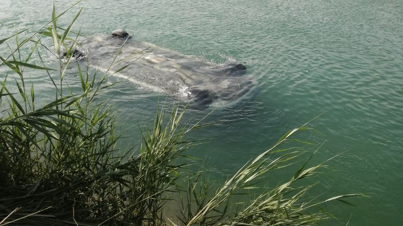 Adana'da sulama kanalına düşen araçtaki 3 kişi can verdi