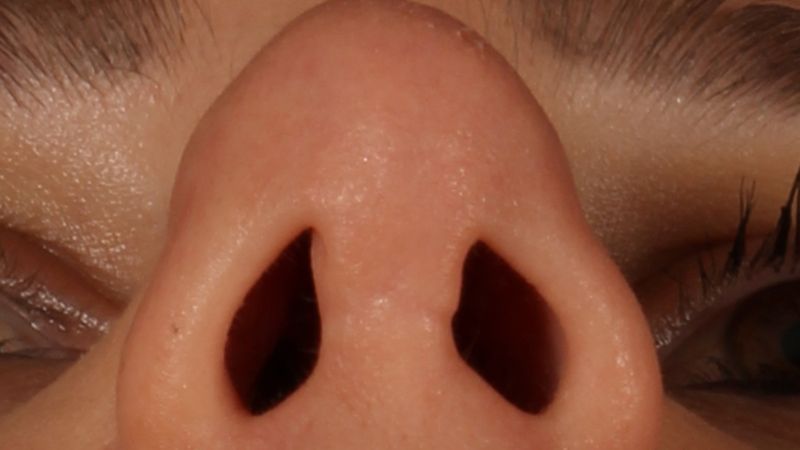 Sizde var mı: Jacobson organı nedir, nasıl anlaşılır? İşte 6. duyu organı