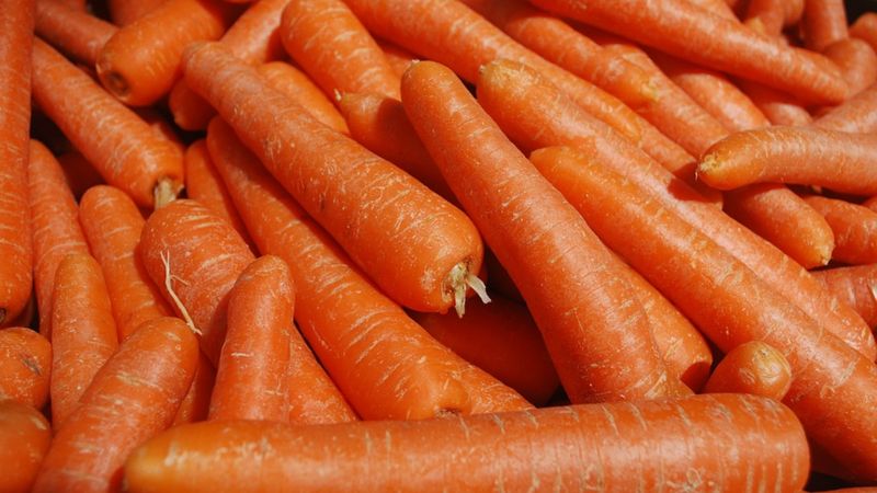 Havuç yağı nasıl kullanılır, ne işe yarar? Havuç yağının cilde faydaları