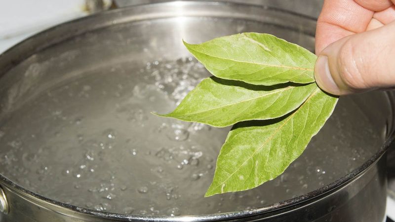Defne yaprağı suyuna 10 dakika oturursanız...