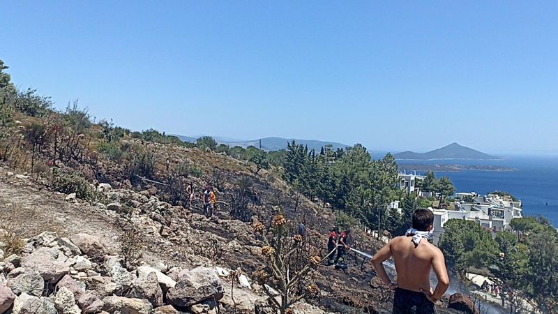 Bodrum'da otluk yangını: 5 hektar alan yandı