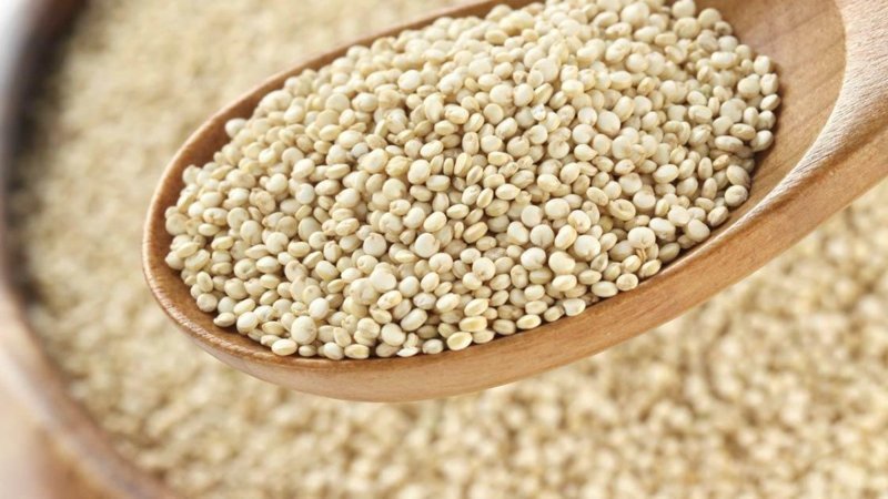 Tahılların efsanesi: Amarant nedir, faydaları nelerdir? Amarant tohumu nasıl tüketilir?