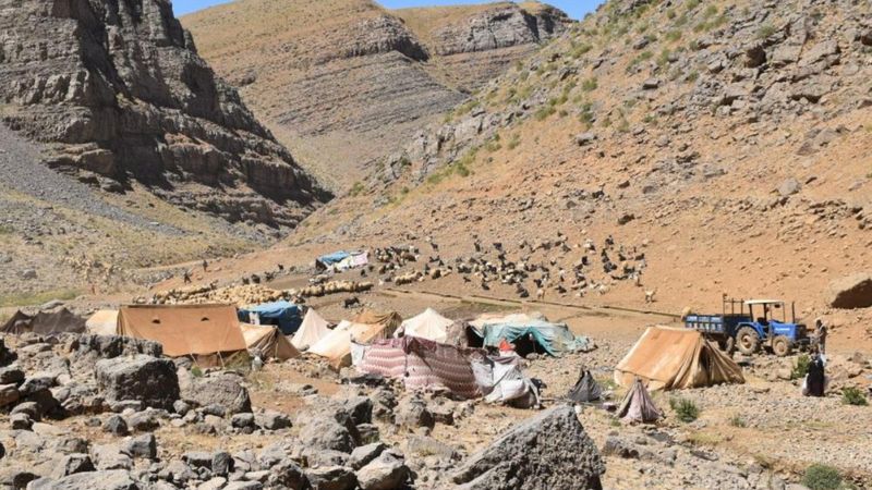 Şırnak'ın terörden arındırılan yaylalarında hayvancılık canlanıyor