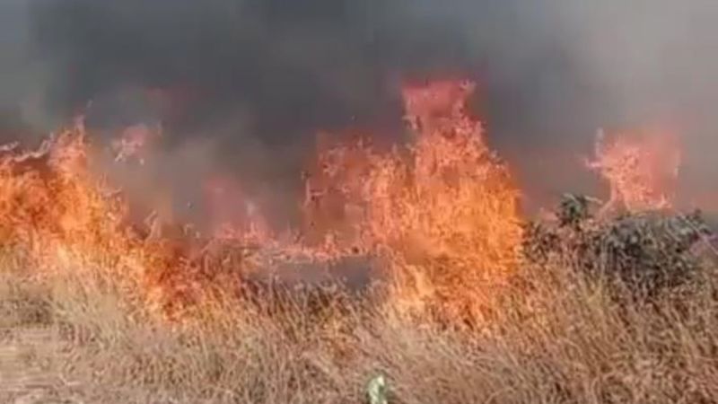 Denizli'de çıkan yangın söndürüldü