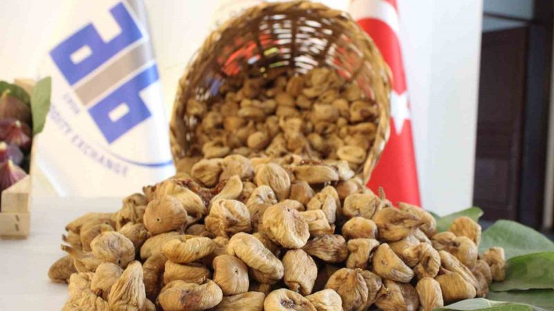 Aydın’ın milli meyvesi kuru incirden 11 ayda 241 milyon dolarlık kazanç