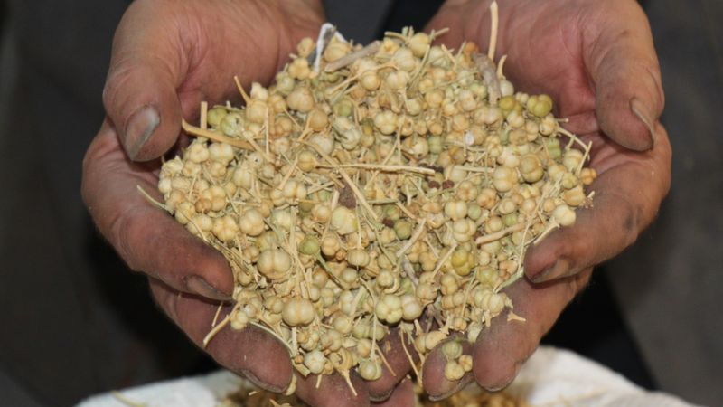 Üzerlik yakın, dumanı evde gezdirin! Kem gözleri bir bir söndürecek...