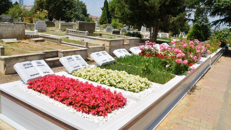 Yaz kış dayanıklı: Mezarlık çiçekleri hangileridir? Mezara hangi çiçek dikilir?