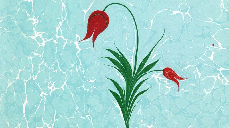 Renklerin su üzerinde dansı: Ebru sanatının tarihçesi ve detayları