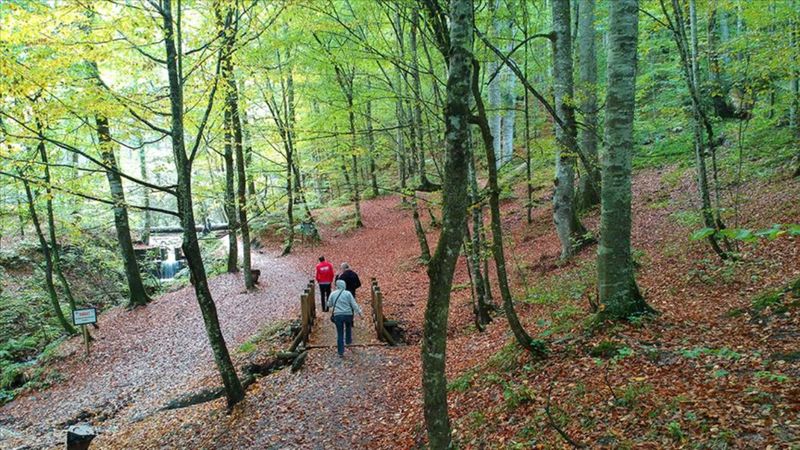 Milli parklar ile tabiat parklarına 8 ayda 46 milyon ziyaretçi