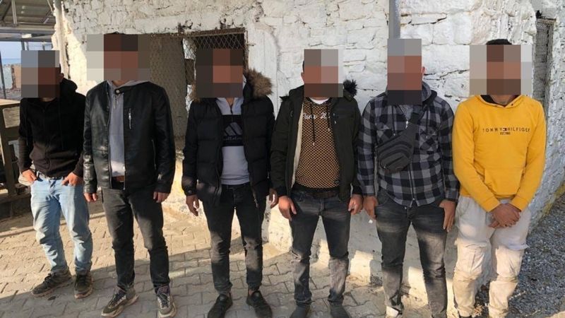 Aydın'da kaçak göçmen operasyonu! Pamuk tarlasından çıktılar...