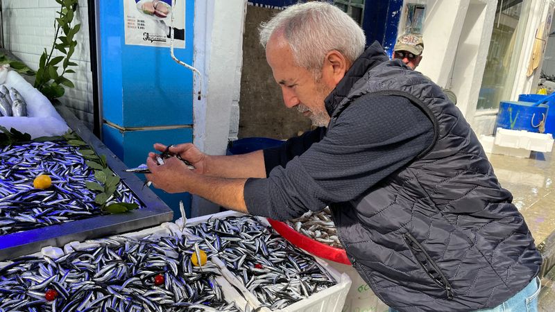 Sinop'ta hamsi bereketi başladı! Kilosu 50 liradan satılıyor