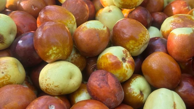 Ölümü dahi erteliyor! Hünnaplı yoğurt yiyin, etkisini görün...