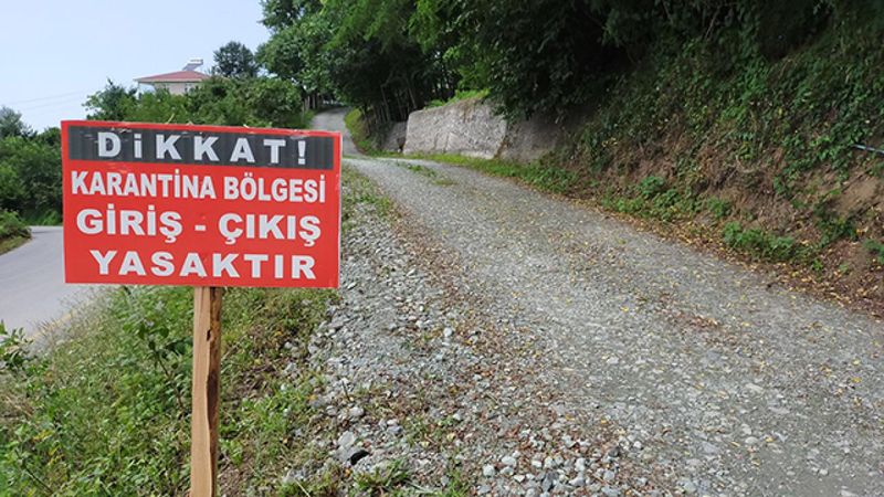 Zonguldak'ta 55 yerleşim bölgesinde şap karantinası