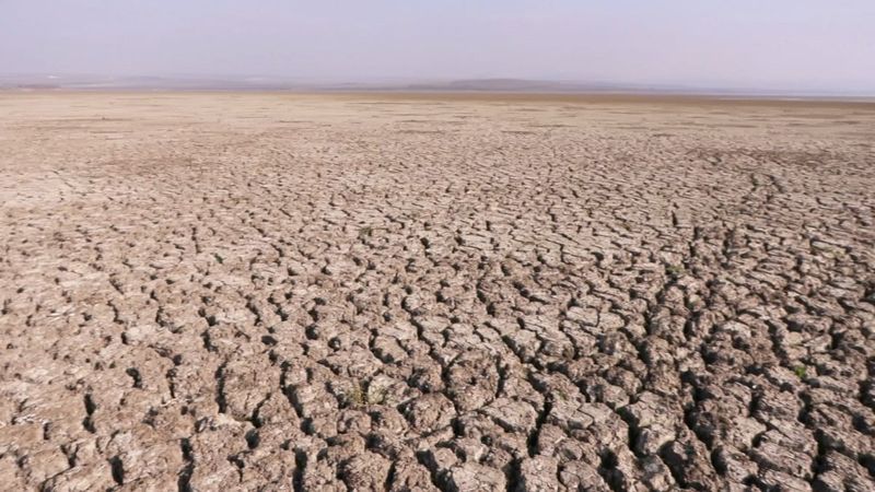 İstanbul alarm veriyor: Büyükçekmece Gölü kurudu, su alımı durduruldu