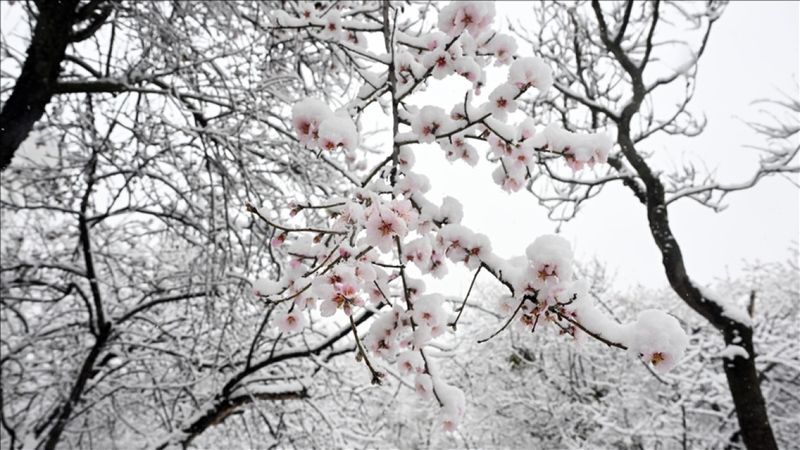 Meteoroloji uzmanları açıkladı: El Nino ve La Nina aynı anda etkili olmuyor