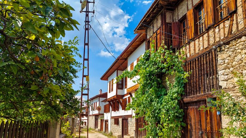 Yatırım yapan köşeyi dönecek! Türkiye’nin en değerli toprakları bu köyde…