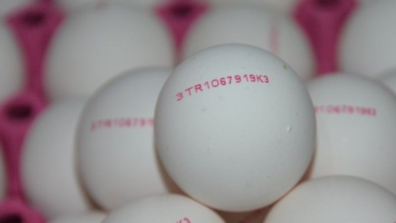 Sağlıklı yumurta nasıl anlaşılır? İşte yanıtı...