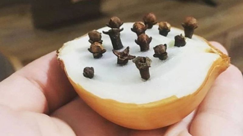 Soğana karanfil batırın, hayatınız değişecek!