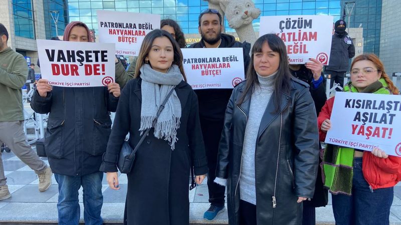 Ankara'da sokak köpeklerinin toplanmasına tepki! Belediyeyi protesto ettiler