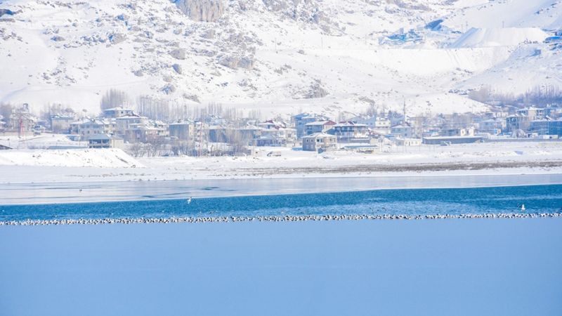 Van'da görülmeye değer manzara: Gölün üstü buz tuttu