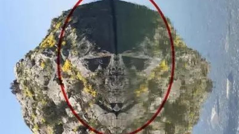 İznik Gölü'ndeki kayadan suya yansıyan figür görenleri şok ediyor