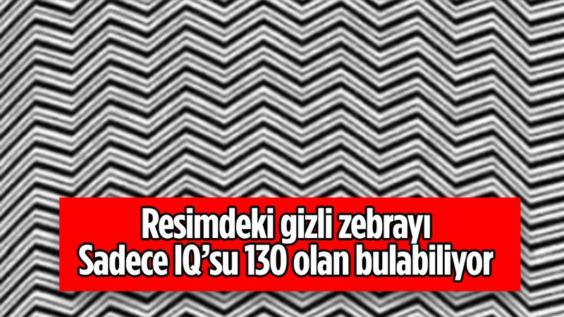 Zeka testi: Resimdeki çizgilerin arasında bir zebra saklı! 15 saniyede bulan üstün zekalı çıkıyor