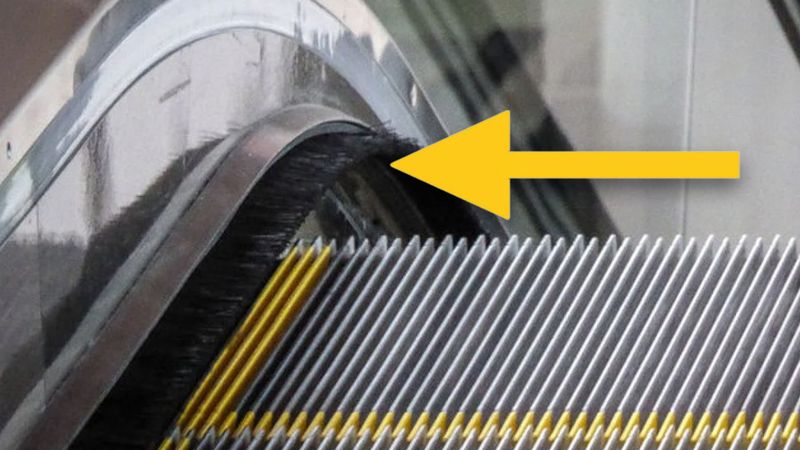 Yürüyen merdivenlerin kenarlarındaki fırçalar bakın ne işe yarıyormuş