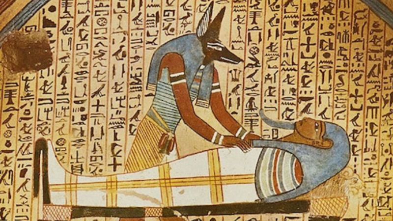 Vakanüvis yazdı: Tarihteki 'köpekperestler'